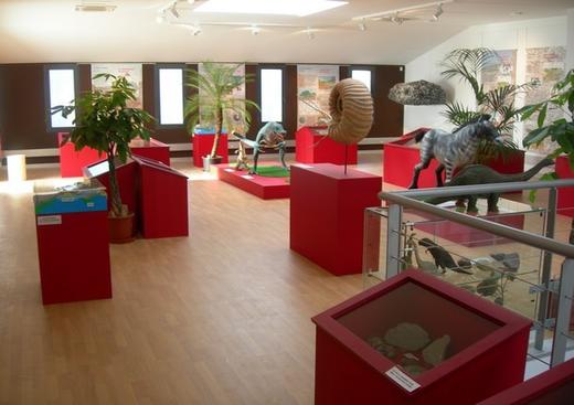 Musée de Géologie et d'Ethnographie