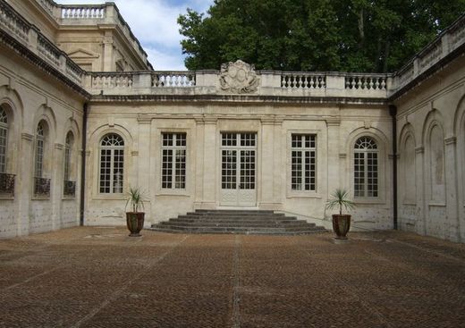 Musée Calvet