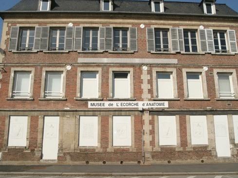 Musée de l'Écorché d'Anatomie