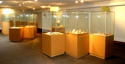 Musée de Paléontologie Humaine de Terra Amata