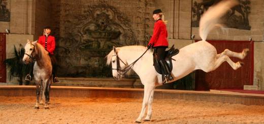 Musee Vivant du Cheval - Grandes Ecuries du Domaine de Chantilly