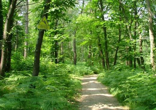 Parc Anjou Aventure