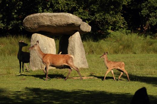 Parc Aquanature du Stérou