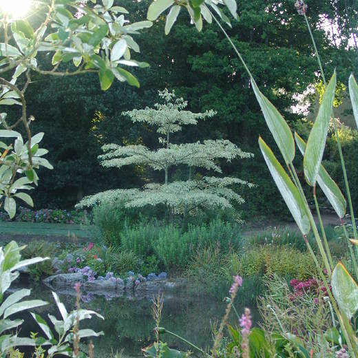 Parc Botanique de Cornouaille