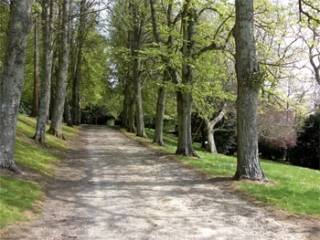 Parc Calouste Gulbenkian