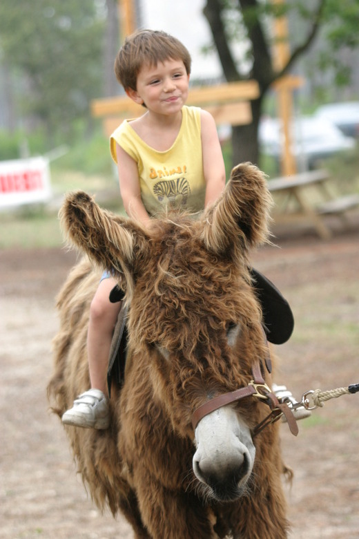 Parc de l'Aventure Montalivet