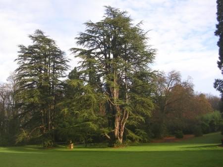 Parc du château de Walmath