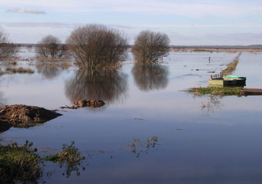 Parc Naturel Régional des Marais du Cotentin et du Bessin