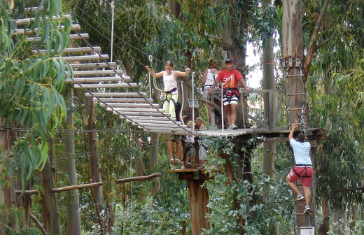 Parcours aérien en forêt - Passerelle des Cimes