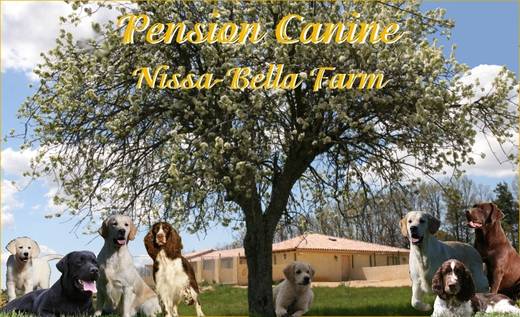 Pension Canine Nissa Bella Farm