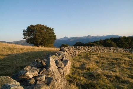 Plateau d'Estive de Saint Jacques des Blats