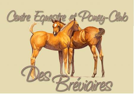 Poney Club-Centre Equestre des Bréviaires - Haras