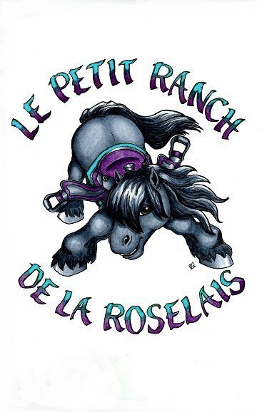 Poney Club le Petit Ranch