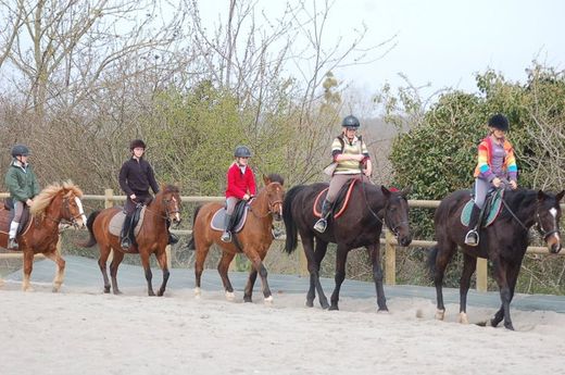 Poney Club Sainte Colombe