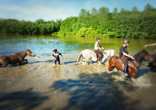 Poney Club Saint Christophe en Bresse