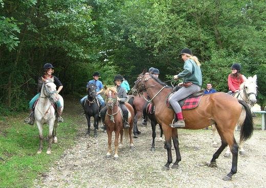 Promenade à cheval / poney