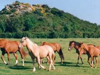 Ranch de la Vallée de la Mare