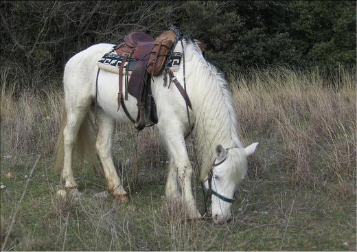 Ranch des Loisirs