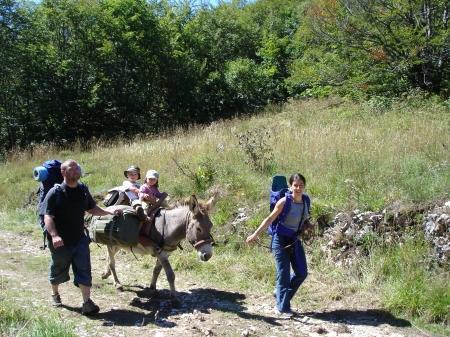 Randonnée avec des ânes avec Barroudane en Vercors