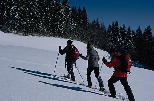 Randonnée découverte en Raquettes en Chartreuse