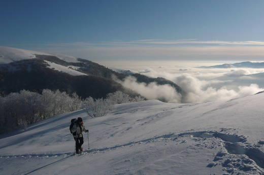 Randonnée Raquettes avec Vercors Aventure