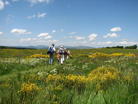 Randonnées en Ardèche - Bureau des Accompagnateurs