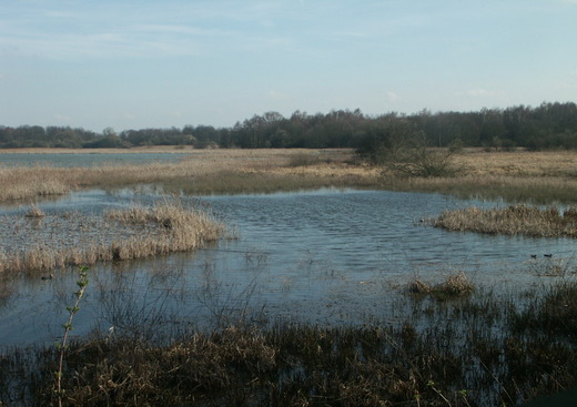 Réserve naturelle de Saint-Quentin-en-Yvelines