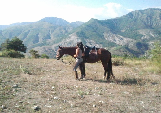 Soubrana Cheval Montagne