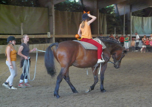 Stage d'équitation