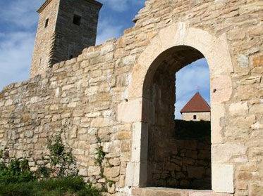 Vestiges du château médiéval de Chevreaux