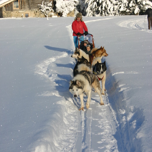 Voyageurs de l'Hiver