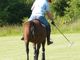 Avis et commentaires sur Anjou Polo Club