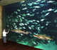 Aquashow - Aquariums à Audierne