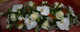 Contacter Art Floral Santerre