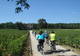 Bourgogne Evasion - Location de Vélo à Beaune
