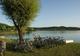 Camping La Grisière à Clairvaux-les-Lacs