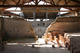 Cassinomagus - Site Archéologique à Chassenon