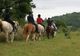 Centre Equestre de Gramont - Randonnée à Cheval à Frespech