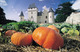 Avis et commentaires sur Château du Rivau et ses Jardins