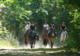 Ecole d'Equitation Ledermann, Chevaux, Centre Equestre, Compétition à Huest (27)