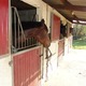 Écuries et École de Dressage le Chêne Day - Centre Equestre à Bruz