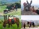 Escap'âne en Pays Basque Intérieur - Randonnée avec Ane à Irouléguy