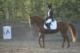 Fanny Bousquet Monitrice d'équitation et Cavalière Indépendante - Sport Equestre à Blaye les Mines (81)