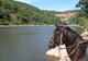 Ferme Equestre du Griou - Randonnée à Cheval à Calmels-et-le-Viala