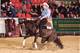Greg Barn-Quarter Horses - Équitation Western à Villette