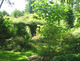 Jardin des Dentelles - Visite de Jardin et Pépinière à Amilly (45)