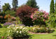 Jardin Floral du Château de Digeon - Parc et jardin à Morvillers-Saint-Saturnin