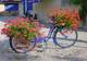 La Bicyclette Bleue - Café-Restaurant à Joyeux