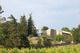 La Grand'Vigne - Domaine Viticole à Brignoles