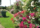 La Roseraie de Brigitte - Parc et Jardin à Cormeray (41)